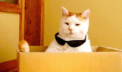 电饭锅一般一小时耗电多少,电饭锅一小时耗电多少度