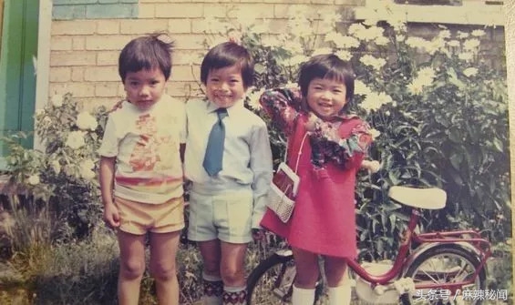 现在越南华人的现状,被越南驱逐的华人流落在荒岛