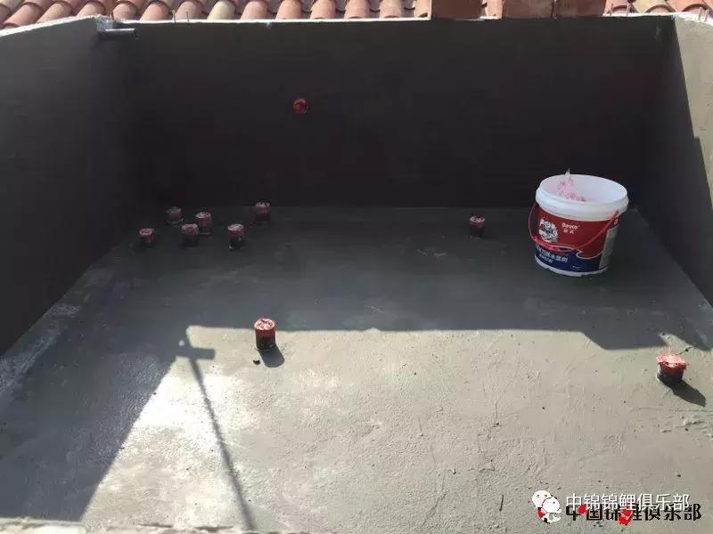 楼顶鱼池有哪些,屋顶鱼池的建造方法