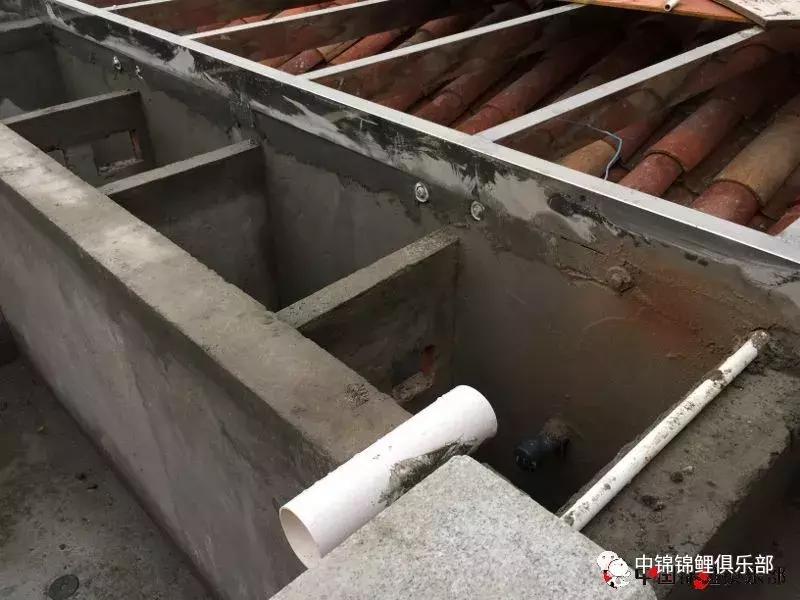 楼顶鱼池有哪些,屋顶鱼池的建造方法