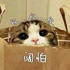 便宜的防晒好用吗,200元的防晒是什么档次