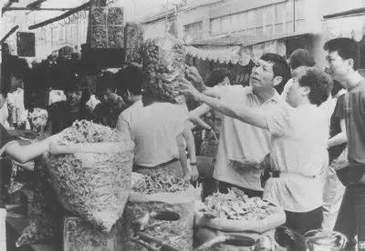 韶关老网友再公布24张照片,带你回去上世纪八九十年代的韶关