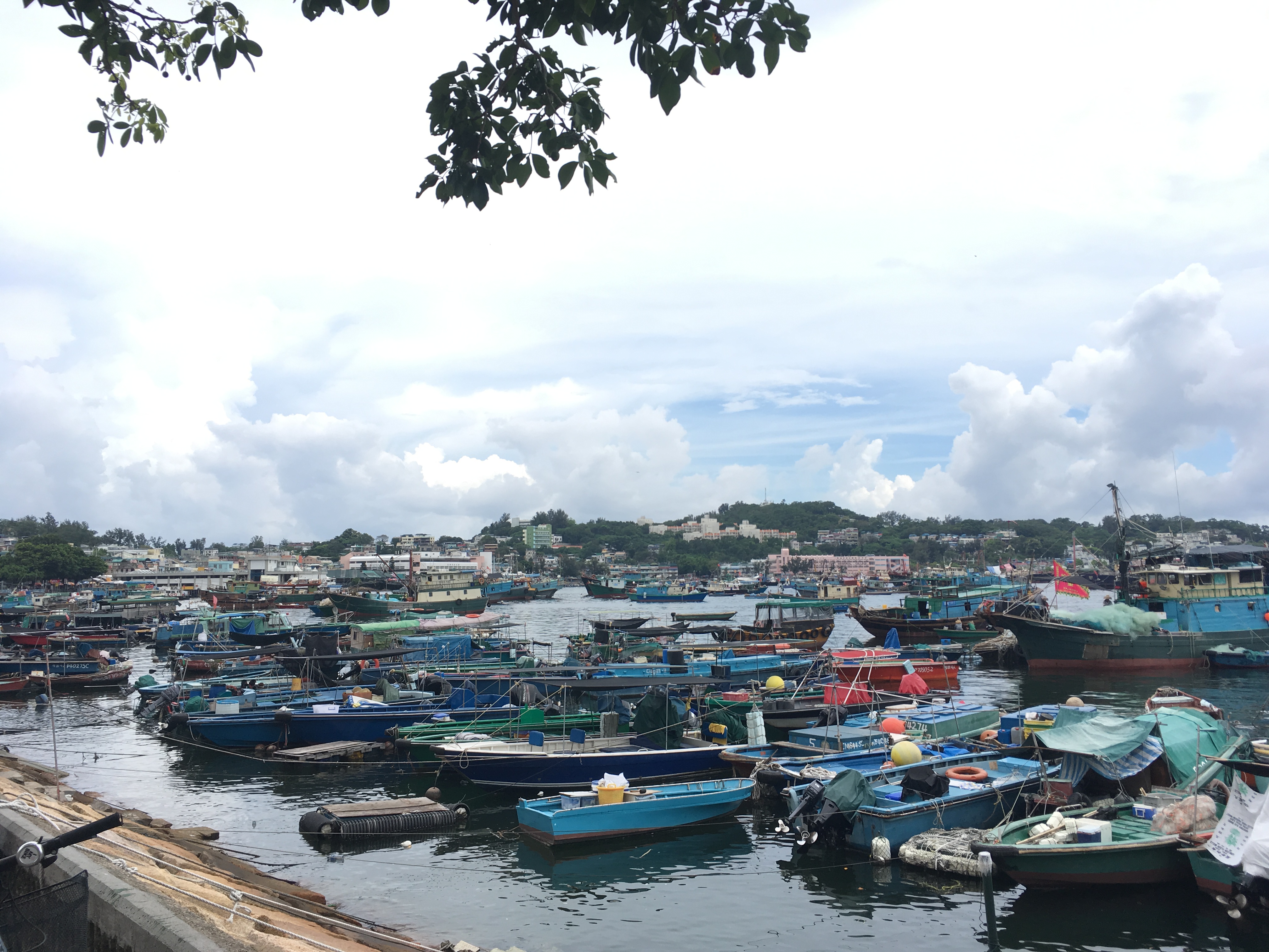 香港离岛区哪里最好玩,离岛长洲在什么地方