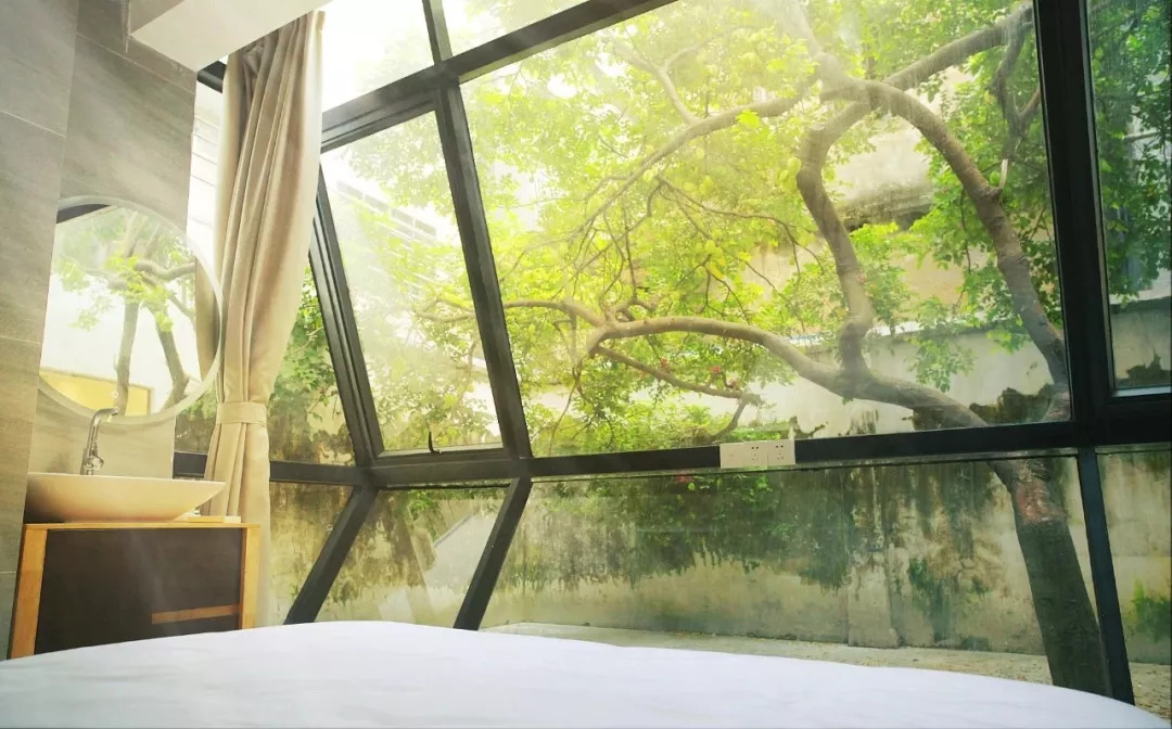 麻涌全域旅游发展,麻涌乡村旅游