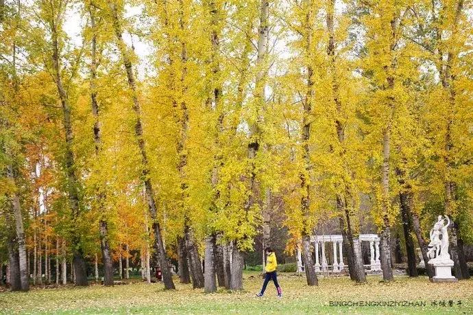 国庆伏尔加庄园,哈尔滨伏尔加庄园三日游