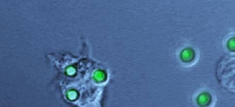 明明是科普纪录片，主持人却用自己的血做起了“暗黑美食”