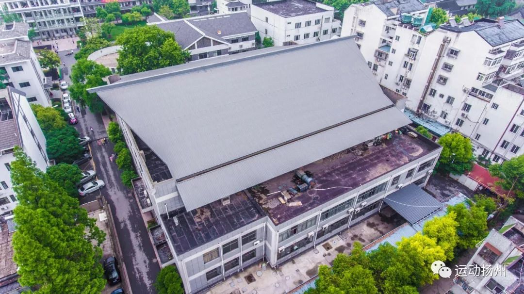 省运会开幕在即,扬州人身份证太管用了,可免费做这些事……