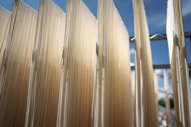 舒淇吃意面,舒淇中餐厅2完整版