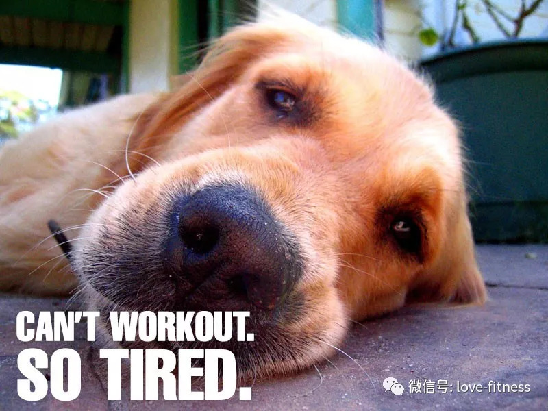每天健身很累,为什么每天健身感觉越来越累