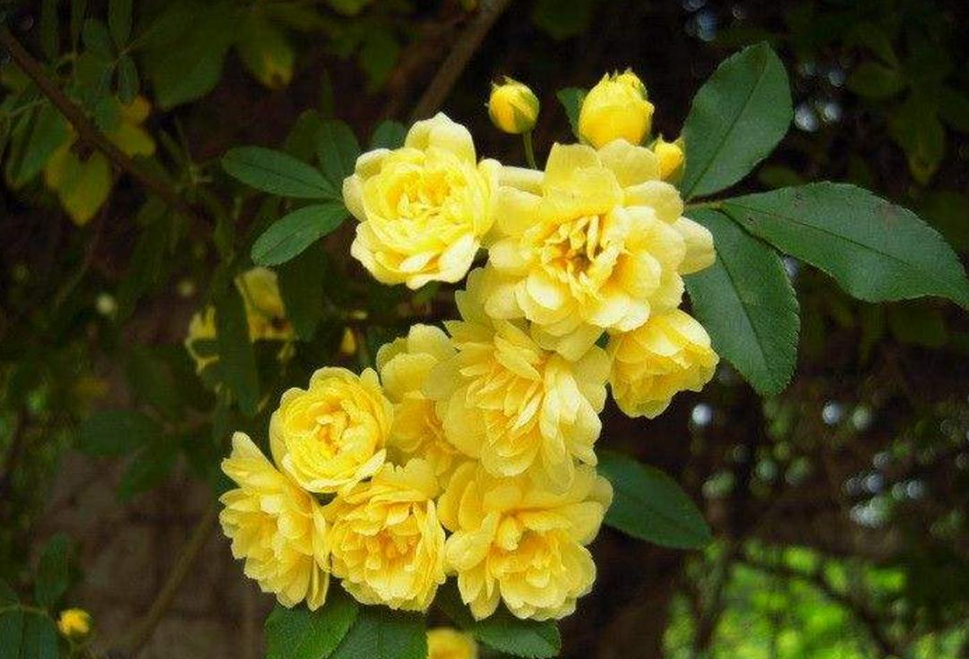 当你一无所有的时候要怎么活,当你一无所有的时候折腾