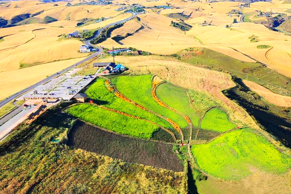 江布拉克的美景描述,风吹麦浪风景视频