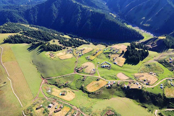 江布拉克的美景描述,风吹麦浪风景视频