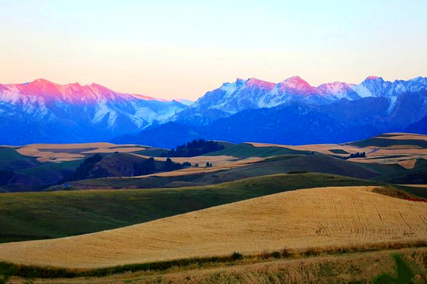 江布拉克的美景描述,风吹麦浪风景视频