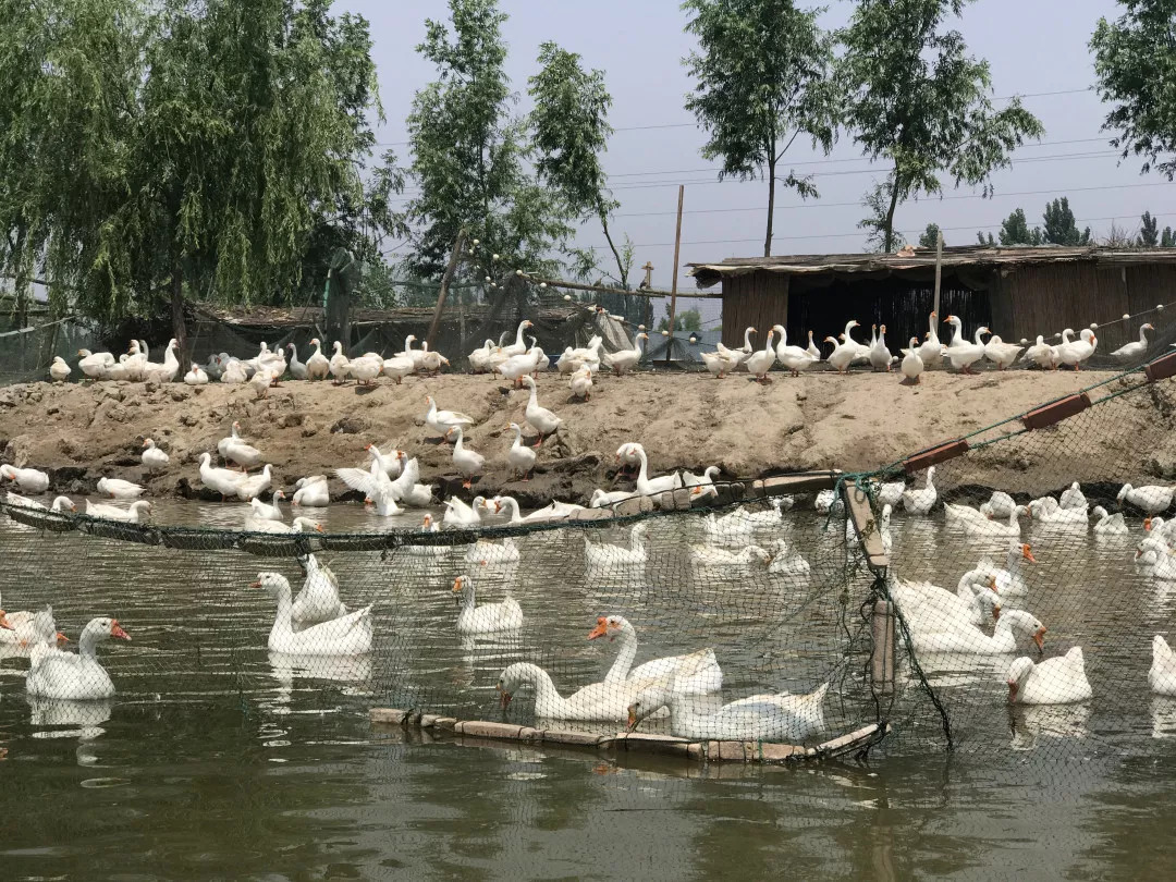 下站该往哪里去,下站了该去哪