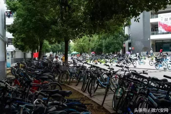 长沙最青春的公交，带你从中南到一师范！