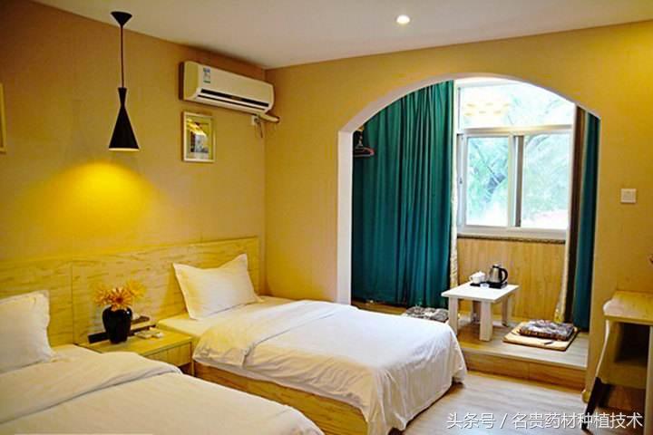 农村人怎样创业赚钱最快的方法,农村暴利创业13个点子防骗