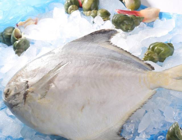 青岛的啤酒和蛤蜊,野生干蛤蜊青岛特产