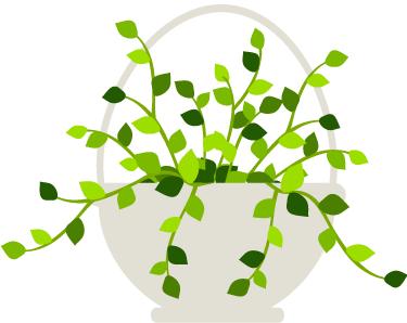 青岛有哪些证件可免费乘公交车,青岛乘坐公交车免费