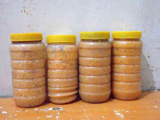 钓鲤鱼新鲜玉米好还是发酵玉米好,钓鲤鱼挂玉米粒的正确方法视频