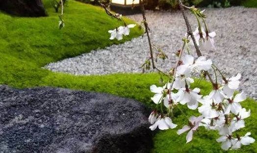 小小设计师绘本故事,小小建筑师绘本故事图片