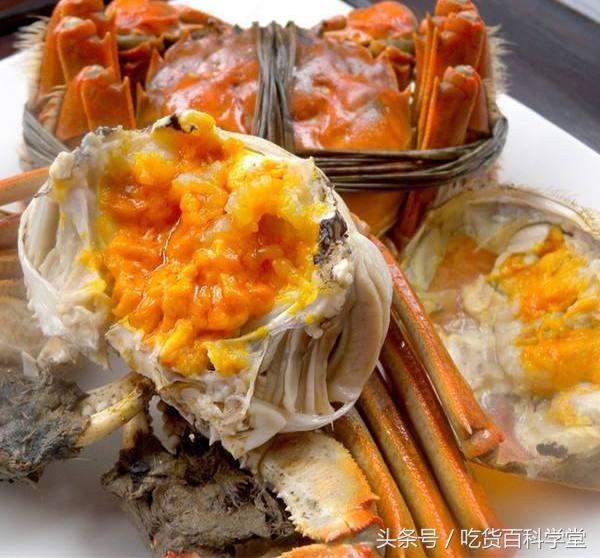 螃蟹怎么挑选公母,螃蟹的饲养过程中公母分养好吗