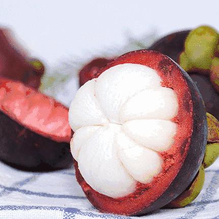 台风山竹风力超17级狂袭,如何对付山竹台风