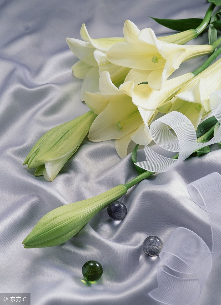 收集有关谐音的歇后语对联成语,谐音歇后语成语对联