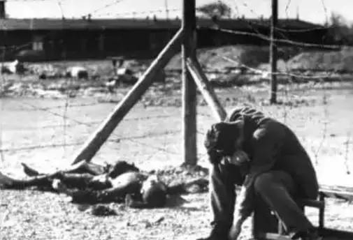 这位中国妇女被欧洲人称为“圣母”被誉为“比利时的辛德勒”