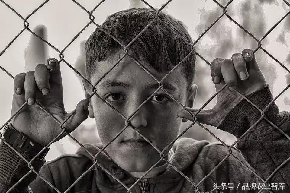 犯罪的留守儿童：被牺牲的6100万人，现在长大了
