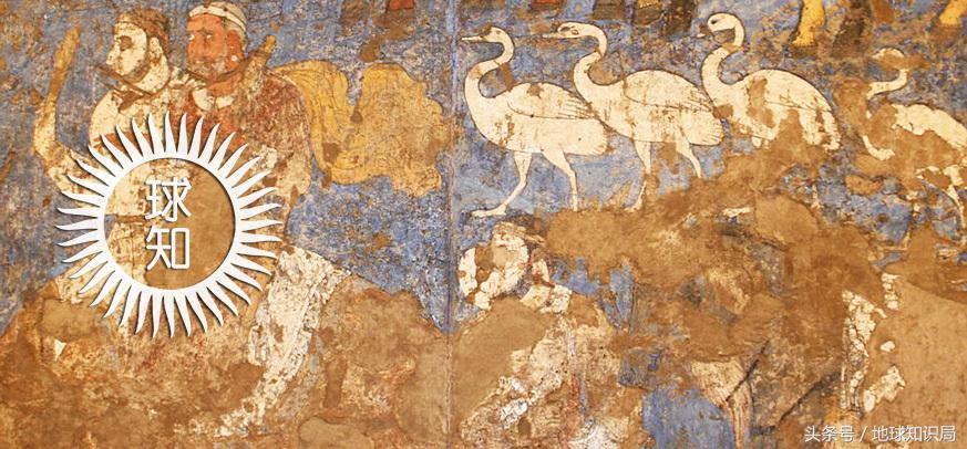 骑完骆驼再骑驴，真正的西域神兽是谁？地球知识局