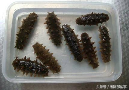 干海参的家常做法怎样泡发快速,干海参正确做法家常版视频