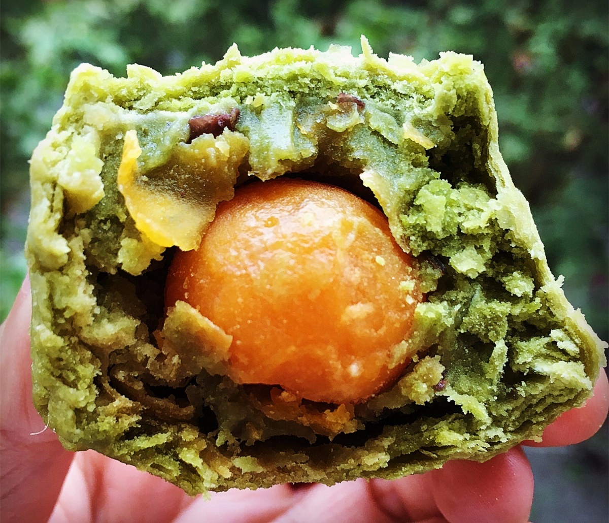 娣樺疂濂藉悆鐨勮泲榛勯叆鎺ㄨ崘,娣樺疂搴椾笂鐨勮泲榛勯叆