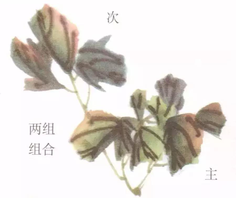 国画牡丹叶子怎样布局,国画牡丹叶子的布局