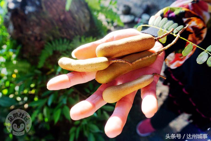 泰国小众岛屿沙美岛,泰国小众岛屿日落