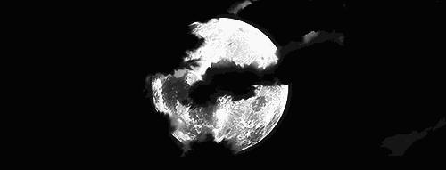 迪士尼中秋月饼礼盒推荐,中秋酒店月饼大赏