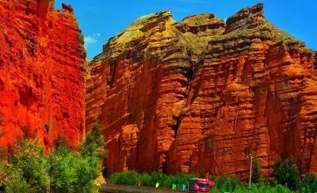 青海十大怪事完整视频,青海十大怪树