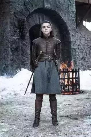 权力的游戏智商,权力的游戏傻子叫啥