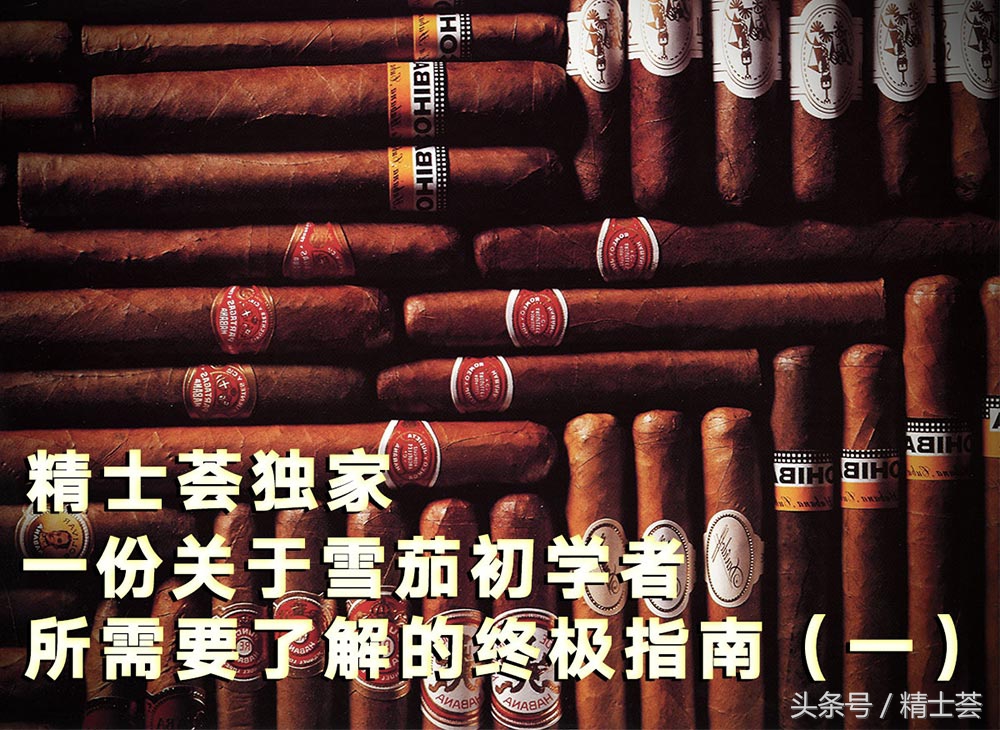 雪茄新手从零入门 (雪茄的十大基本知识)