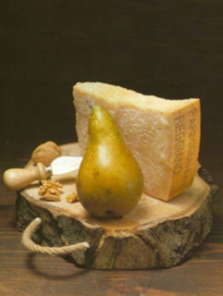 芝士力量完整版,芝士力量系列