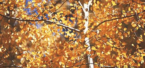 口碑超级好的秋冬面霜测评推荐,秋冬面霜热门品牌推荐大全