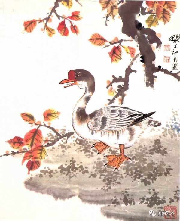 写意国画鹅的详细画法与步骤,工笔翎毛的基本画法