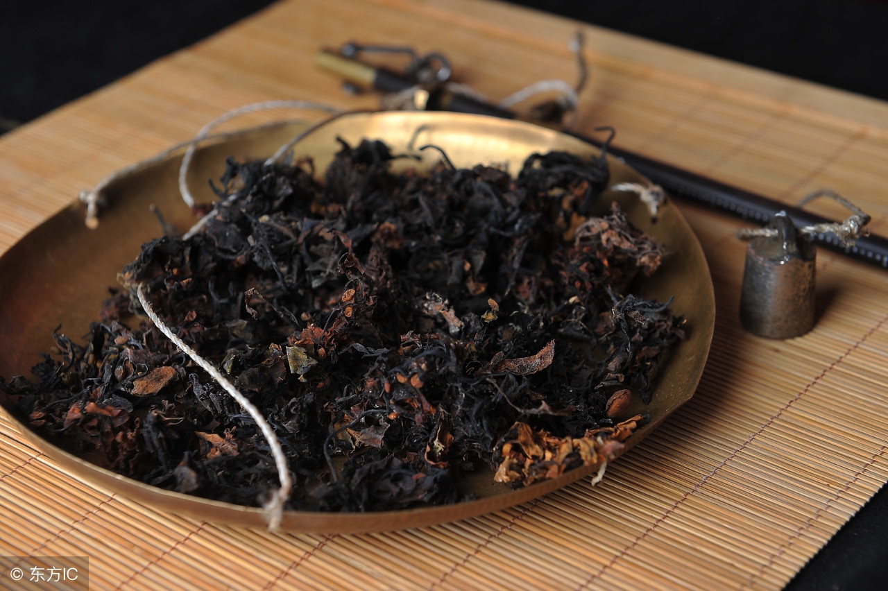 流行歌里的海藻，是中医对症的良药，消解乳腺、痛风肿块很有效