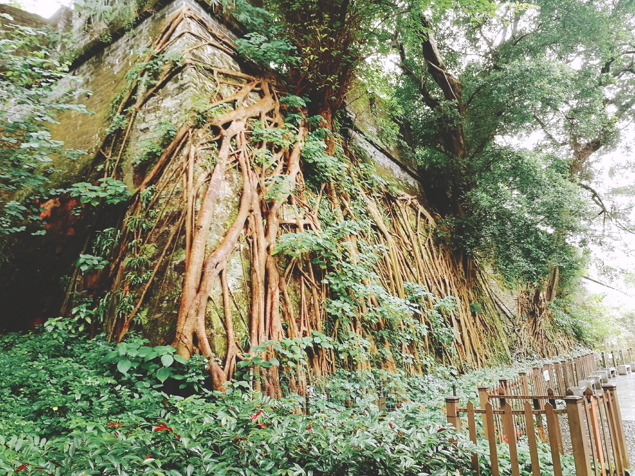 燃烧你的卡路里健身场所,燃烧你的卡路里现场完整版