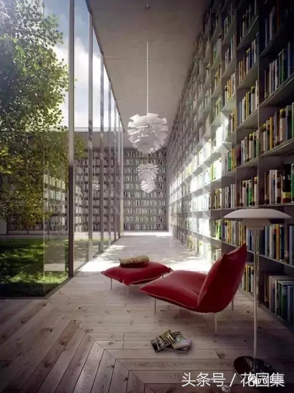 庭院栽什么树风水好,庭院最好的风水布局