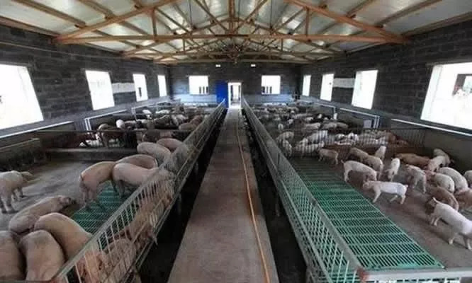 农业暴富的六大机会,中国农业暴富机会