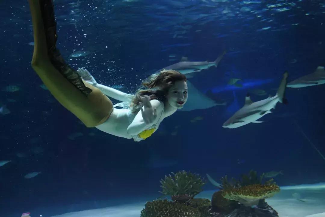 亲子游推荐国庆带孩子,亲子游韩国旅游