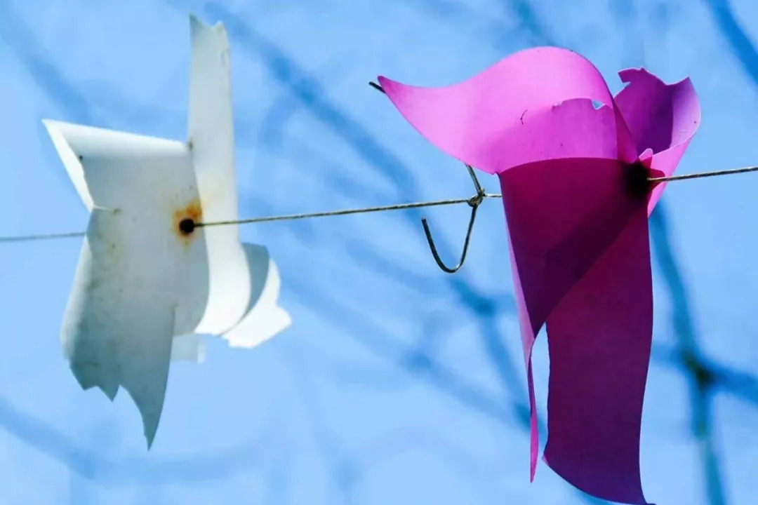 想做护士应该学什么专业,想做护士要考什么