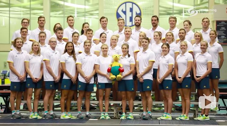 益生菌蛋白粉功效,益生菌蛋白质粉能提高免疫力吗