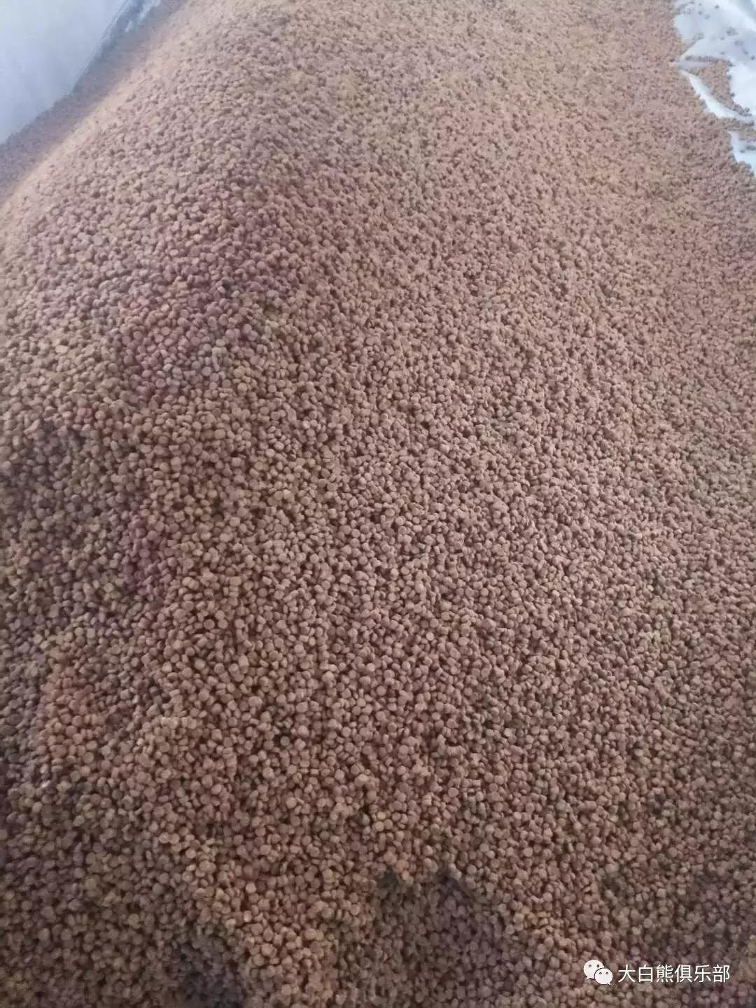 现在买的狗粮都有毒吗,人吃狗粮靠谱吗