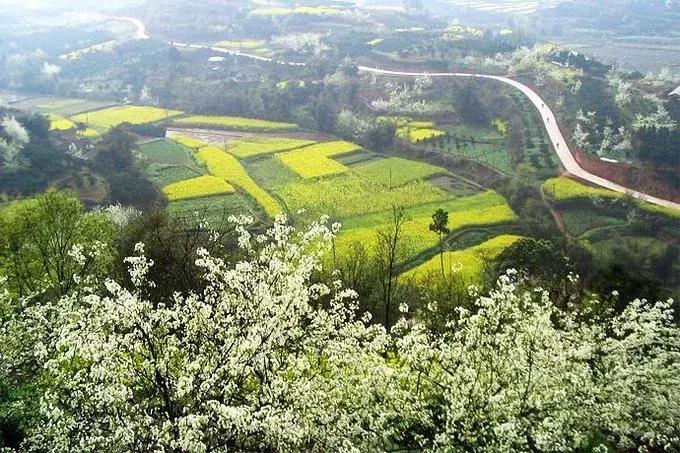 郴州各大板块优势,从无人问津到炙手可热